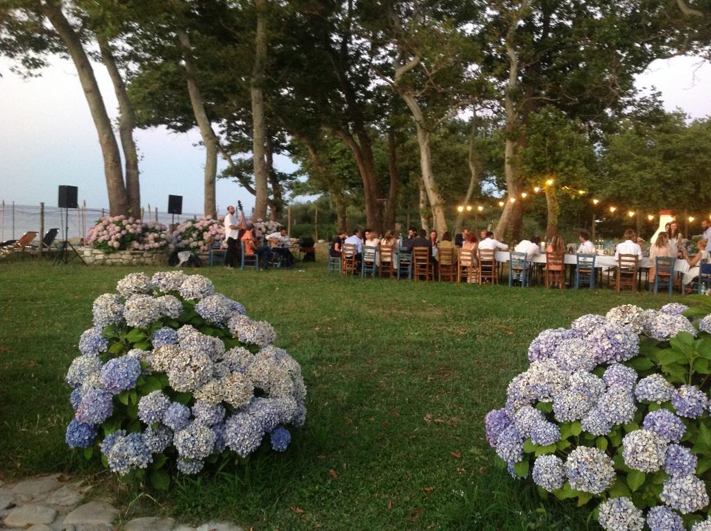 Archondissa Beach Aparthotel テルマ エクステリア 写真
