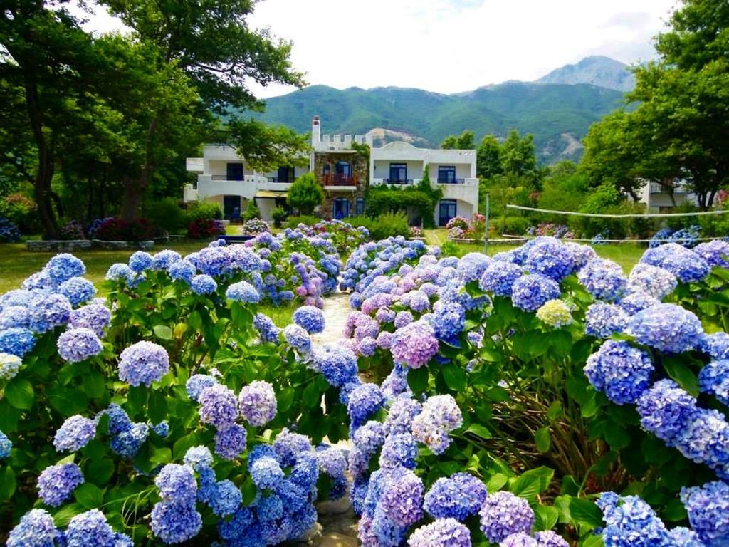 Archondissa Beach Aparthotel テルマ エクステリア 写真