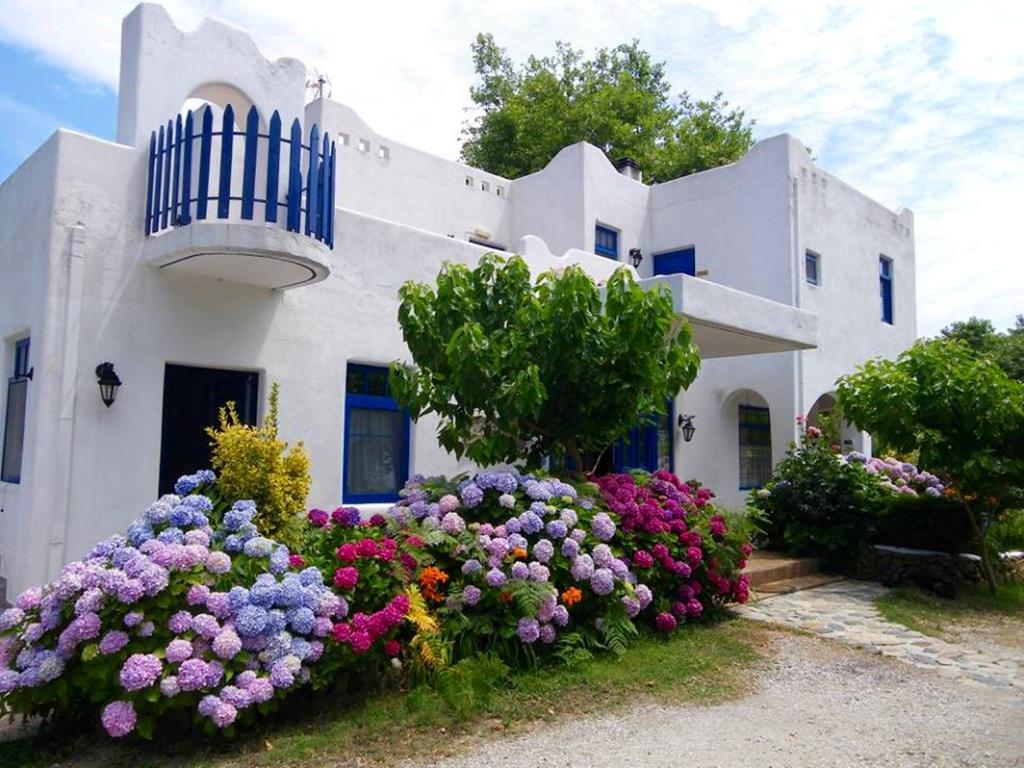 Archondissa Beach Aparthotel テルマ エクステリア 写真