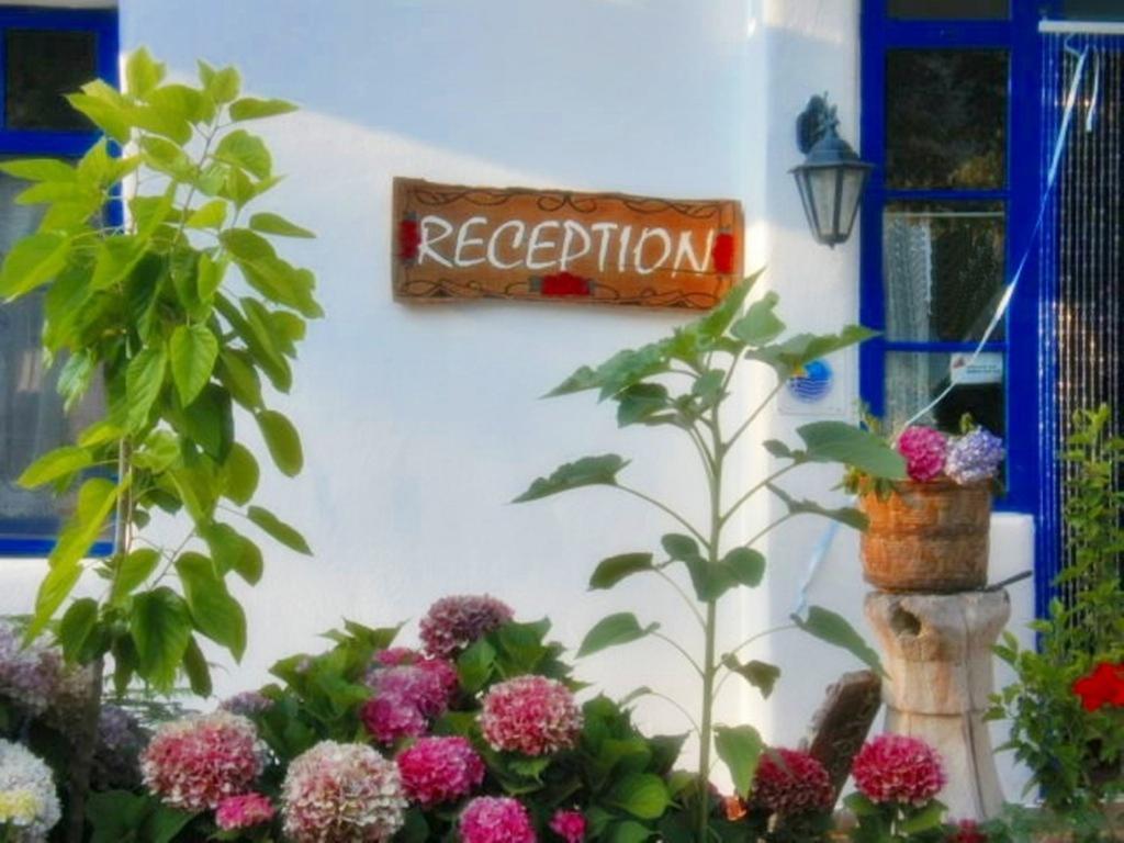 Archondissa Beach Aparthotel テルマ エクステリア 写真