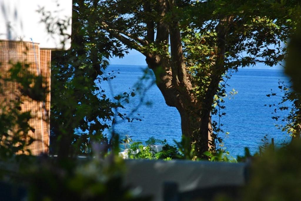 Archondissa Beach Aparthotel テルマ エクステリア 写真