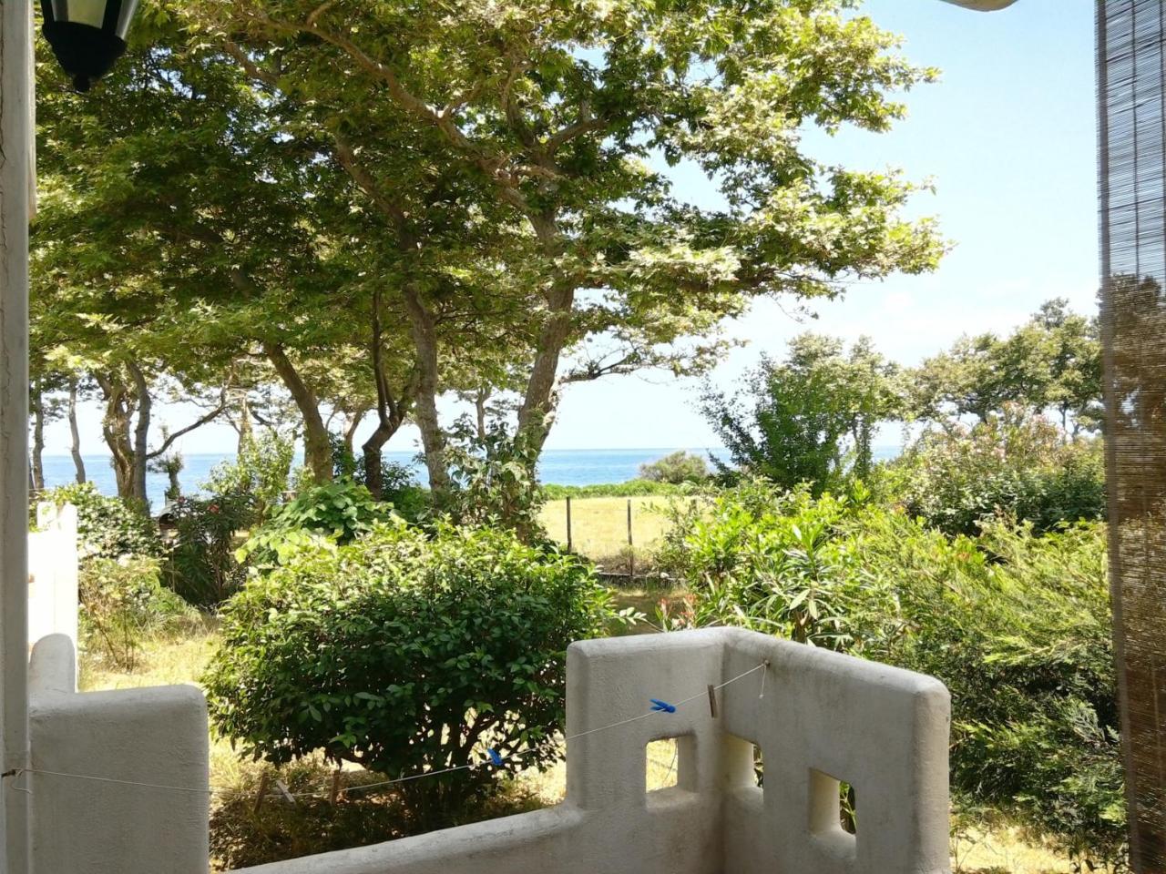 Archondissa Beach Aparthotel テルマ エクステリア 写真
