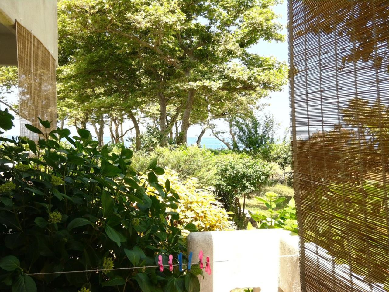 Archondissa Beach Aparthotel テルマ エクステリア 写真